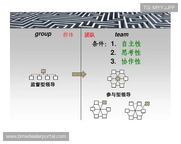 上海排球队在杯赛中的灵活战术表现与团队协作分析