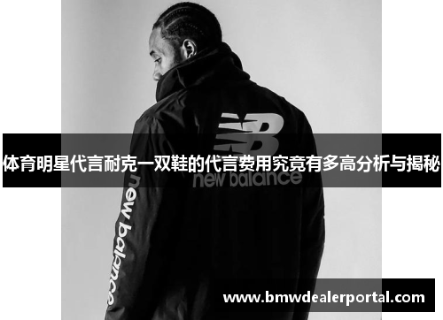 体育明星代言耐克一双鞋的代言费用究竟有多高分析与揭秘